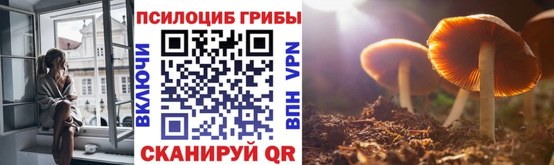 Псилоцибиновые грибы GOLDEN TEACHER  где купить наркоту  Кремёнки 